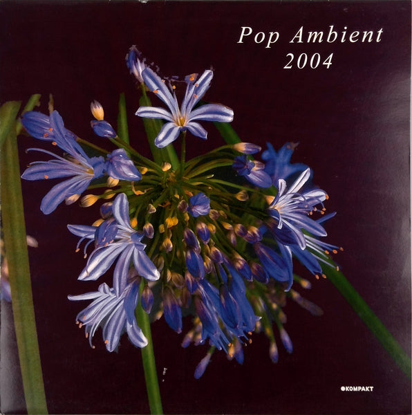 VARIOUS <BR>POP AMBIENT 2004