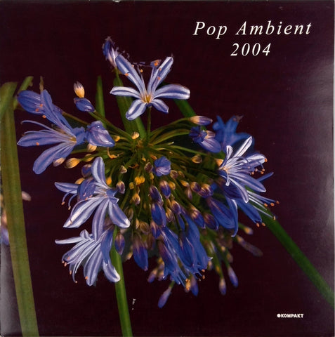 VARIOUS <BR>POP AMBIENT 2004